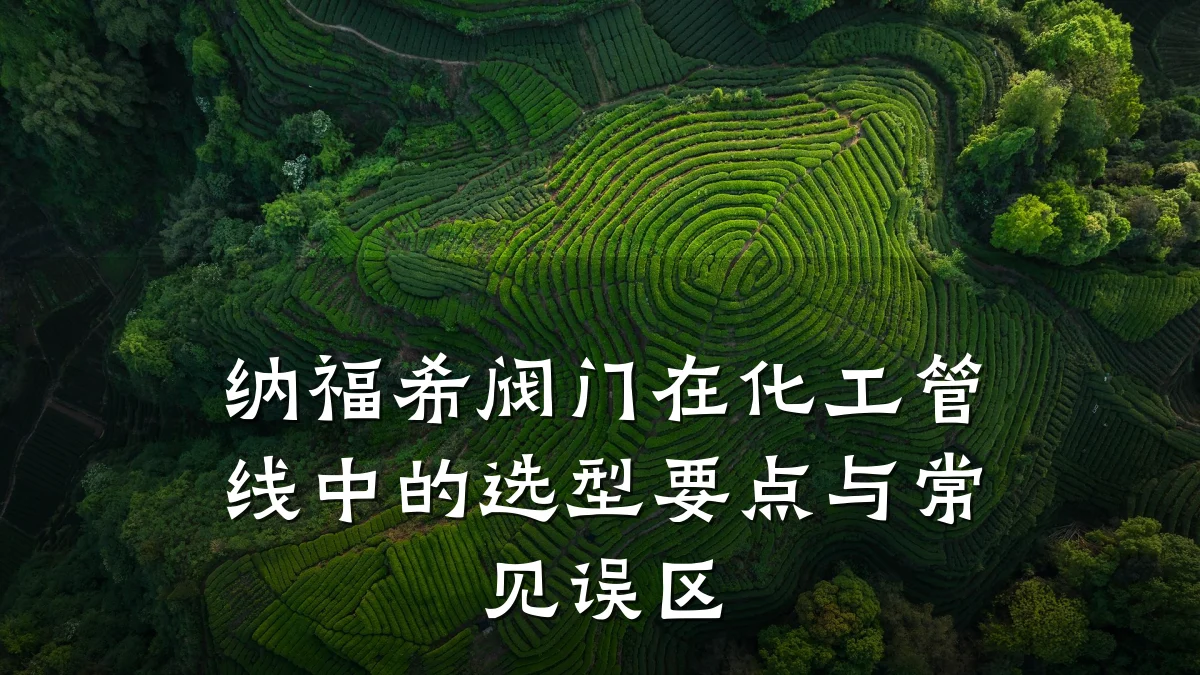 纳福希阀门在化工管线中的选型要点与常见误区