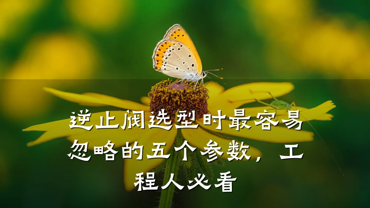 逆止阀选型时最容易忽略的五个参数，工程人必看