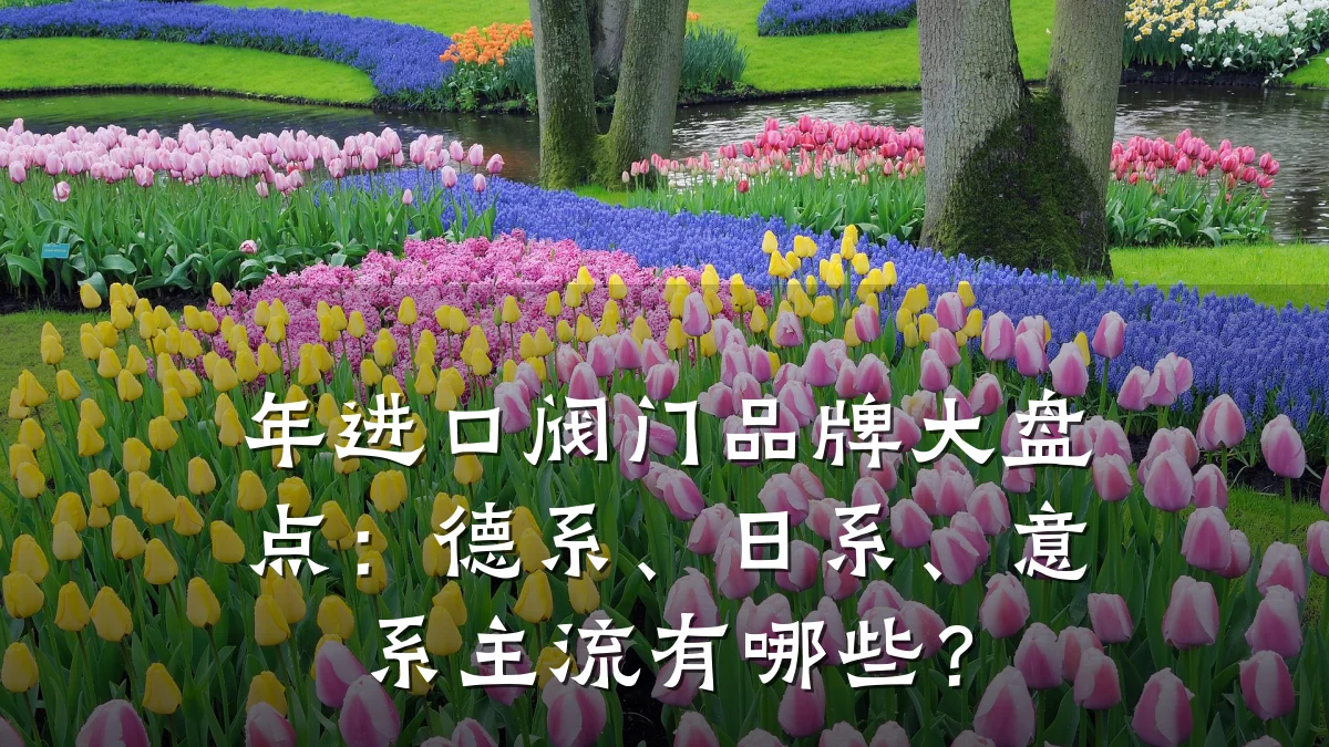 年进口阀门品牌大盘点:德系、日系、意系主流有哪些?