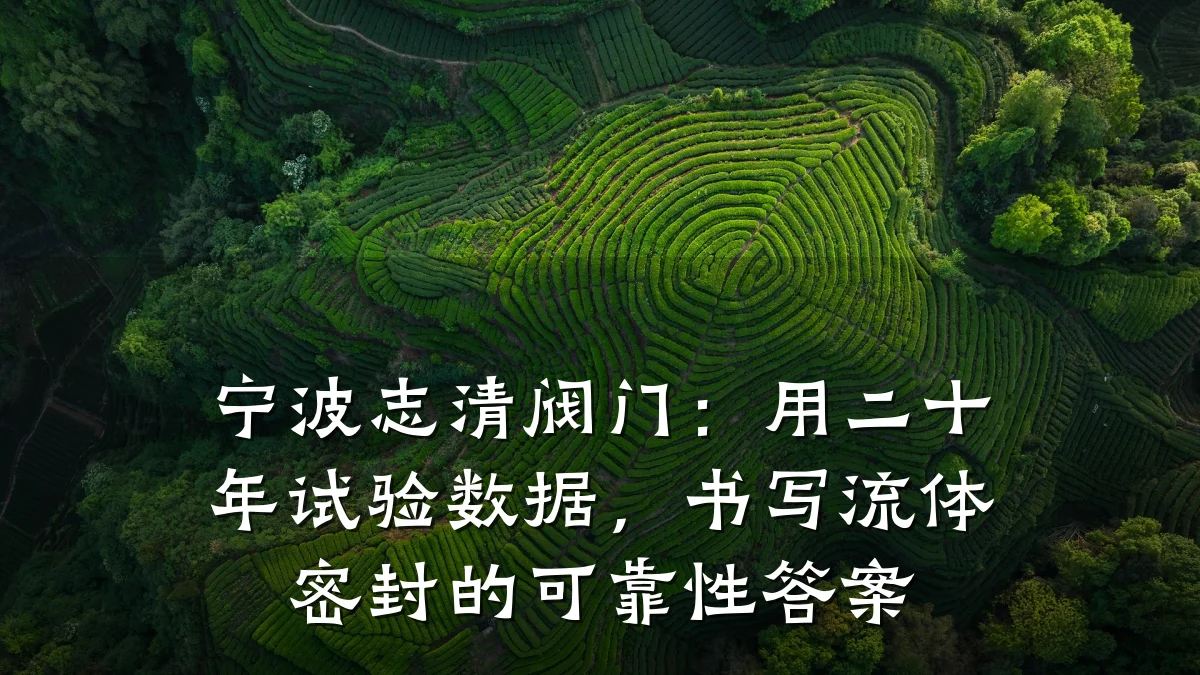 宁波志清阀门:用二十年试验数据,书写流体密封的可靠性答案
