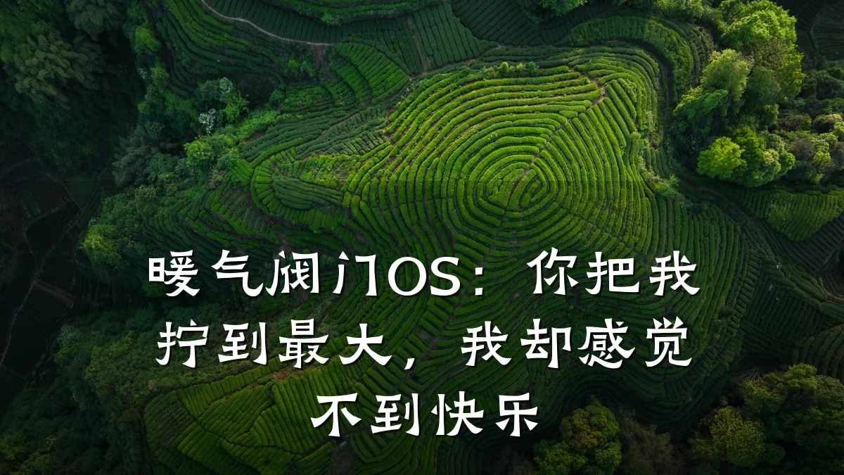 暖气阀门OS:你把我拧到最大,我却感觉不到快乐