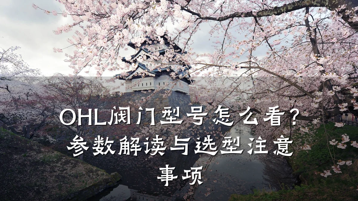 OHL阀门型号怎么看?参数解读与选型注意事项