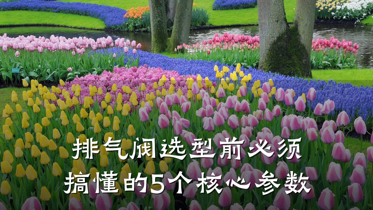 排气阀选型前必须搞懂的5个核心参数