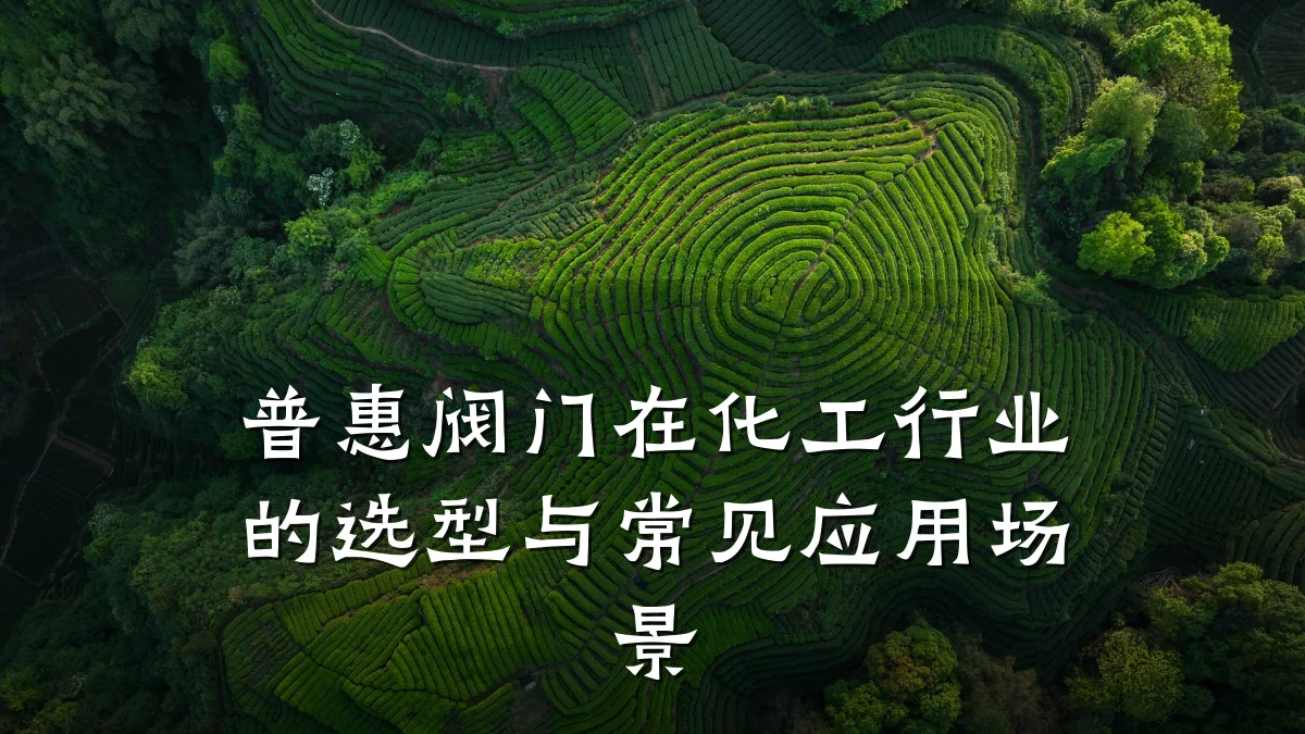 普惠阀门在化工行业的选型与常见应用场景