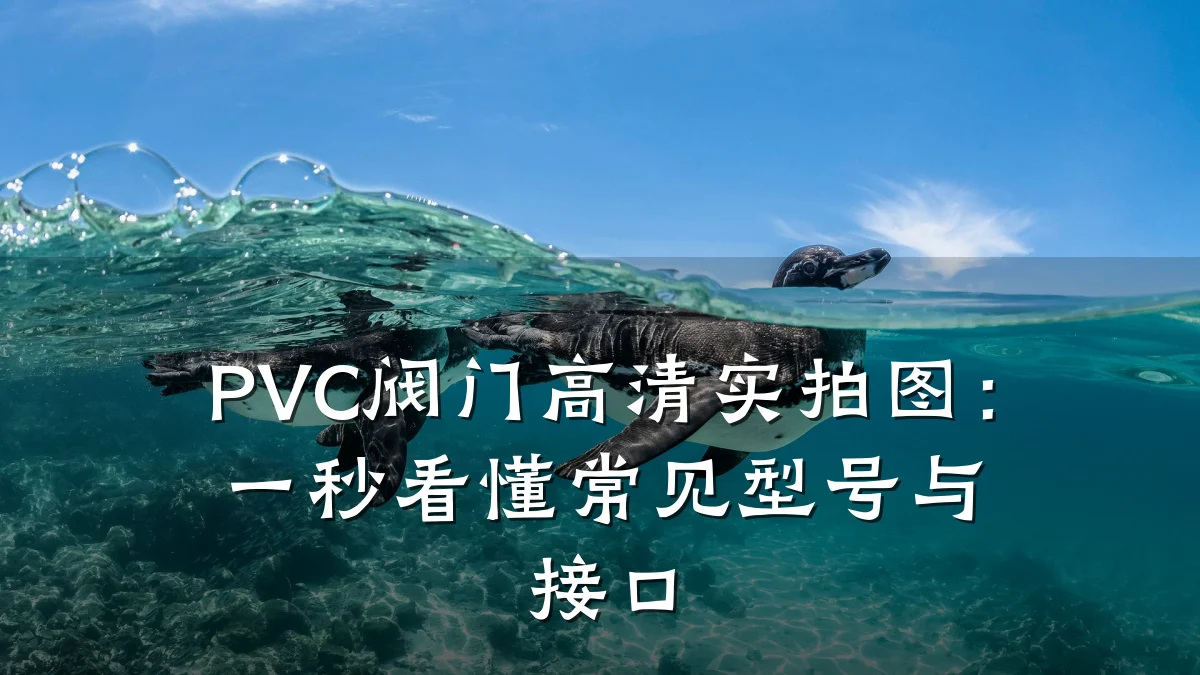 PVC阀门高清实拍图:一秒看懂常见型号与接口