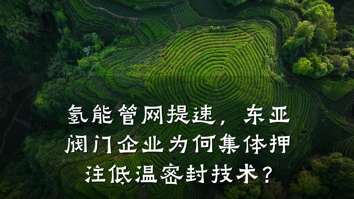 氢能管网提速,东亚阀门企业为何集体押注低温密封技术?