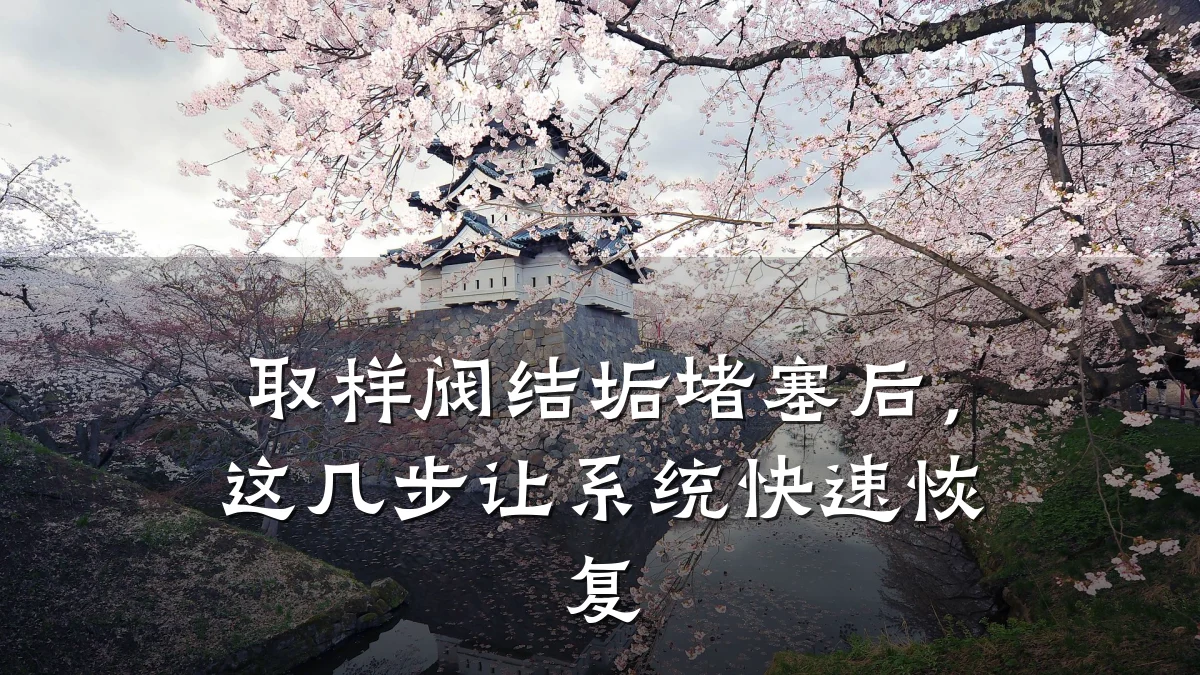 取样阀结垢堵塞后,这几步让系统快速恢复