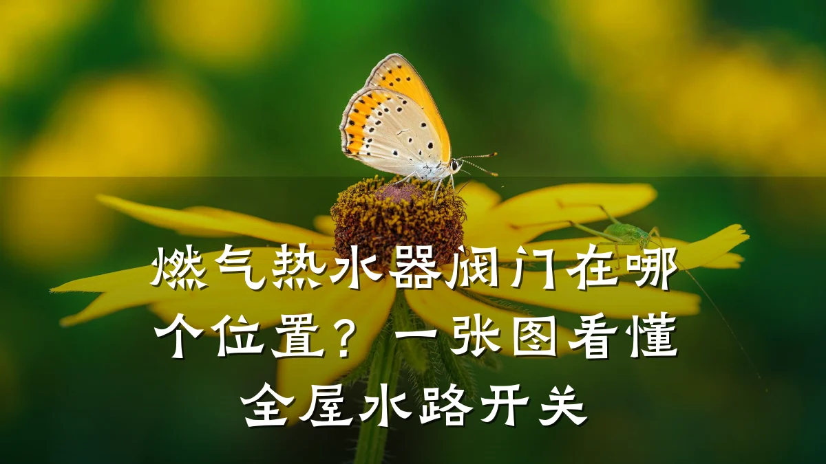燃气热水器阀门在哪个位置?一张图看懂全屋水路开关