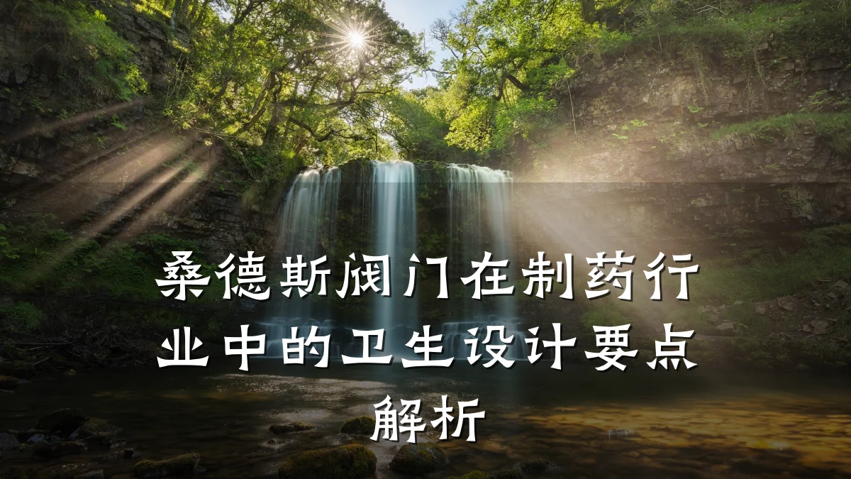 桑德斯阀门在制药行业中的卫生设计要点解析