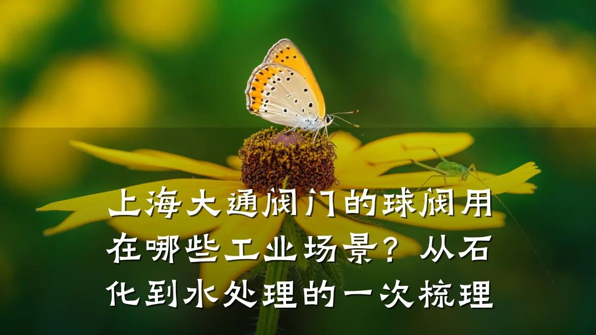 上海大通阀门的球阀用在哪些工业场景？从石化到水处理的一次梳理