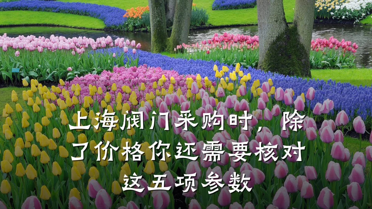 上海阀门采购时,除了价格你还需要核对这五项参数