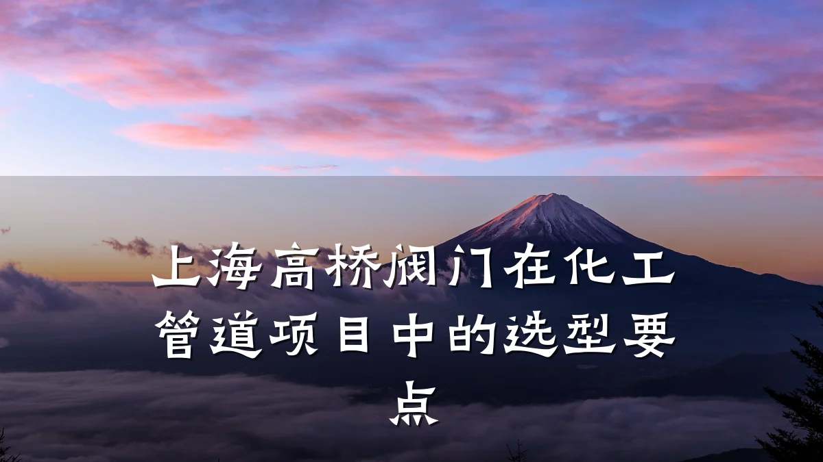 上海高桥阀门在化工管道项目中的选型要点