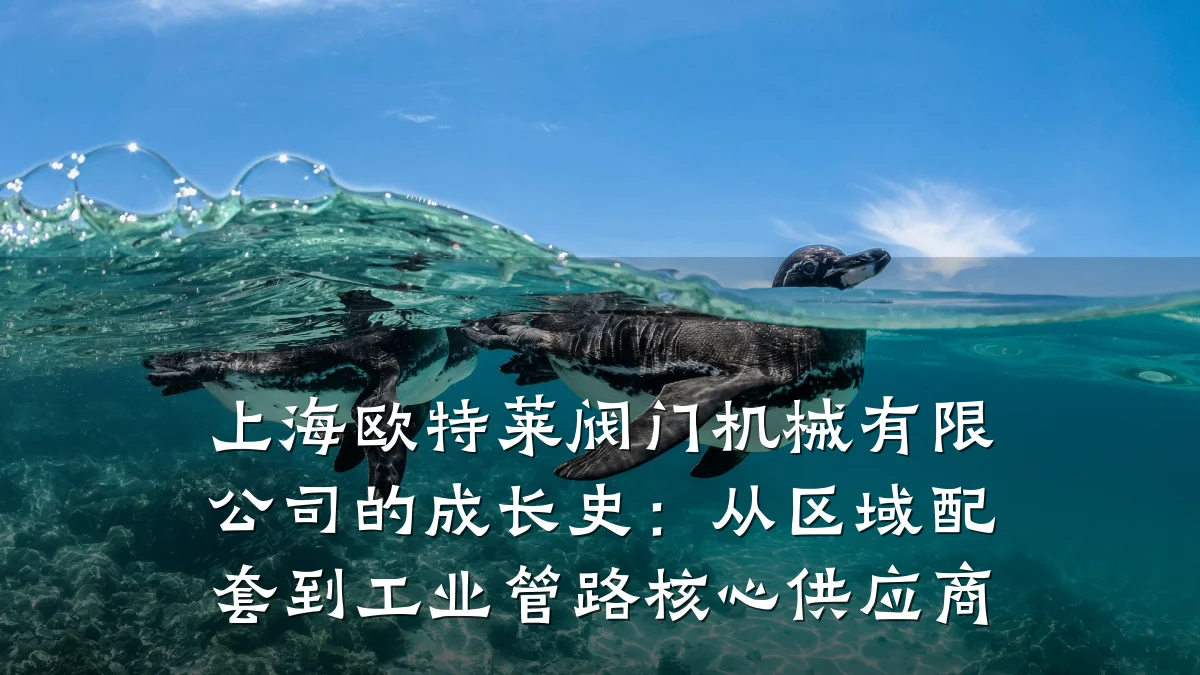 上海欧特莱阀门机械有限公司的成长史:从区域配套到工业管路核心供应商