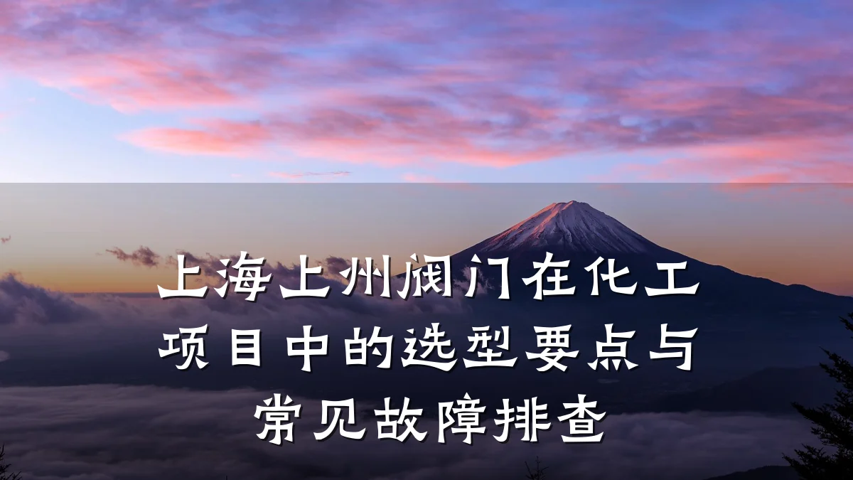 上海上州阀门在化工项目中的选型要点与常见故障排查