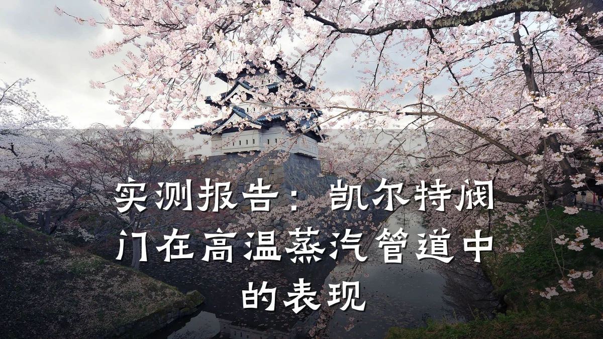 实测报告:凯尔特阀门在高温蒸汽管道中的表现