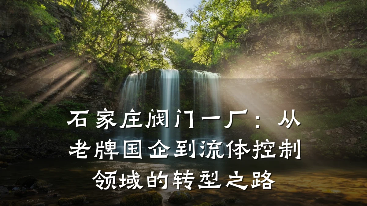 石家庄阀门一厂:从老牌国企到流体控制领域的转型之路