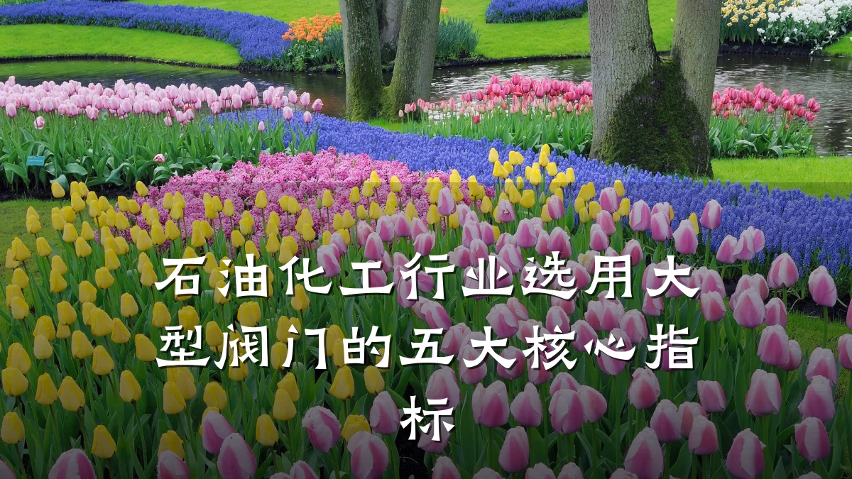 石油化工行业选用大型阀门的五大核心指标