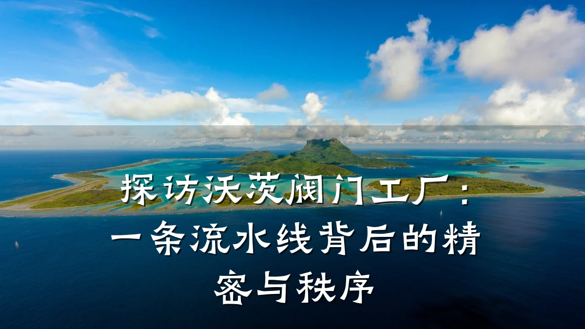 探访沃茨阀门工厂：一条流水线背后的精密与秩序