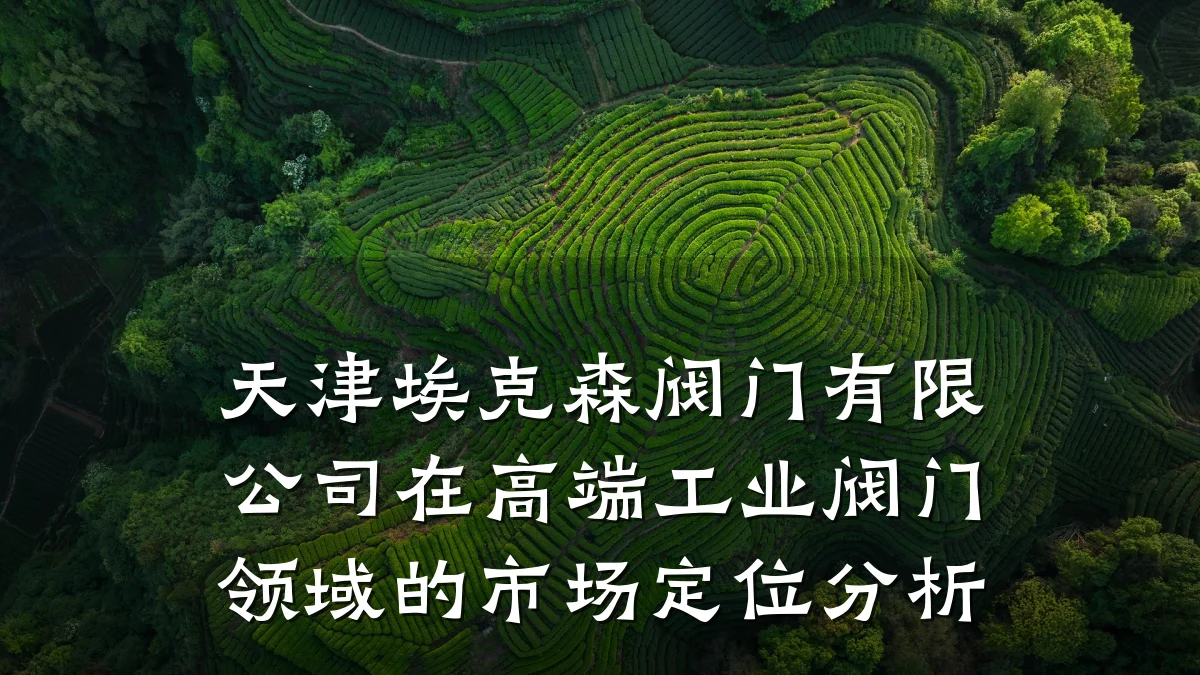 天津埃克森阀门有限公司在高端工业阀门领域的市场定位分析