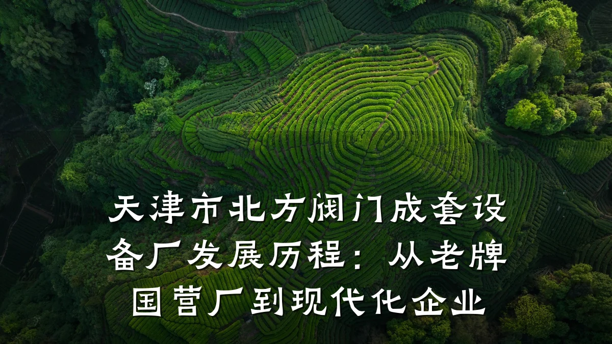 天津市北方阀门成套设备厂发展历程：从老牌国营厂到现代化企业