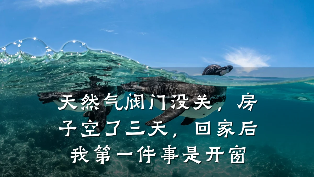 天然气阀门没关,房子空了三天,回家后我第一件事是开窗