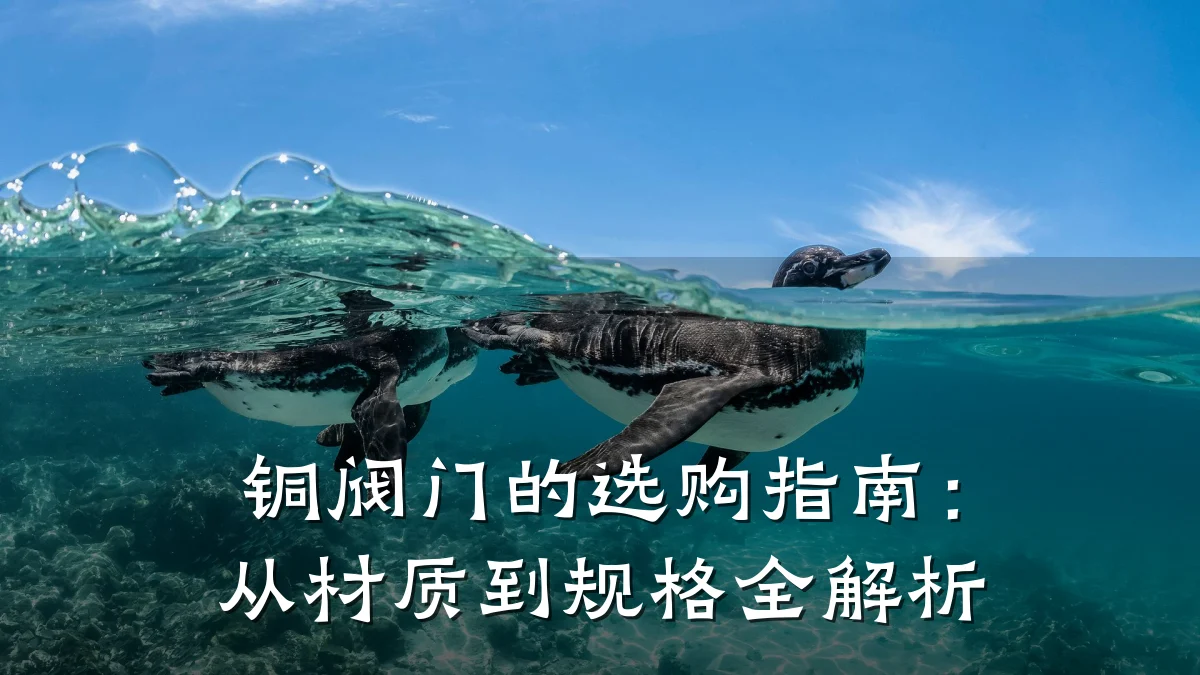 铜阀门的选购指南:从材质到规格全解析