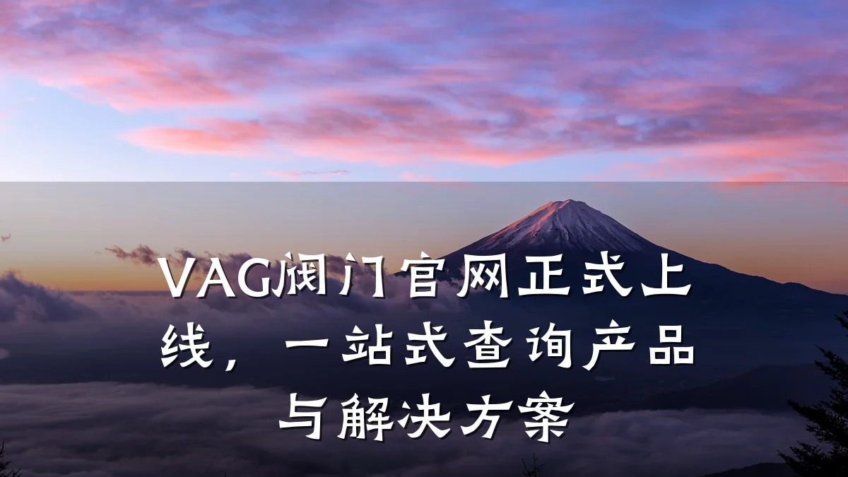 VAG阀门官网正式上线，一站式查询产品与解决方案