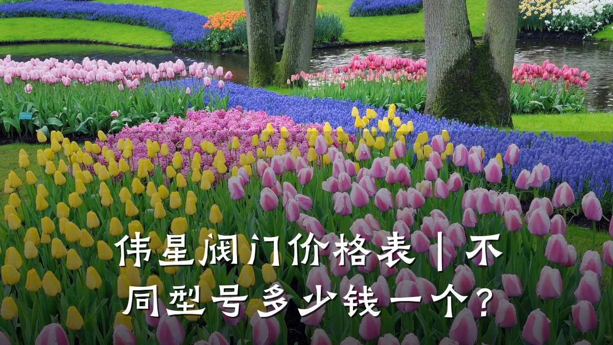 伟星阀门价格表｜不同型号多少钱一个？