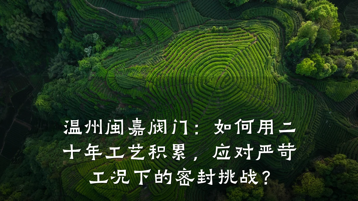 温州闽嘉阀门：如何用二十年工艺积累，应对严苛工况下的密封挑战？
