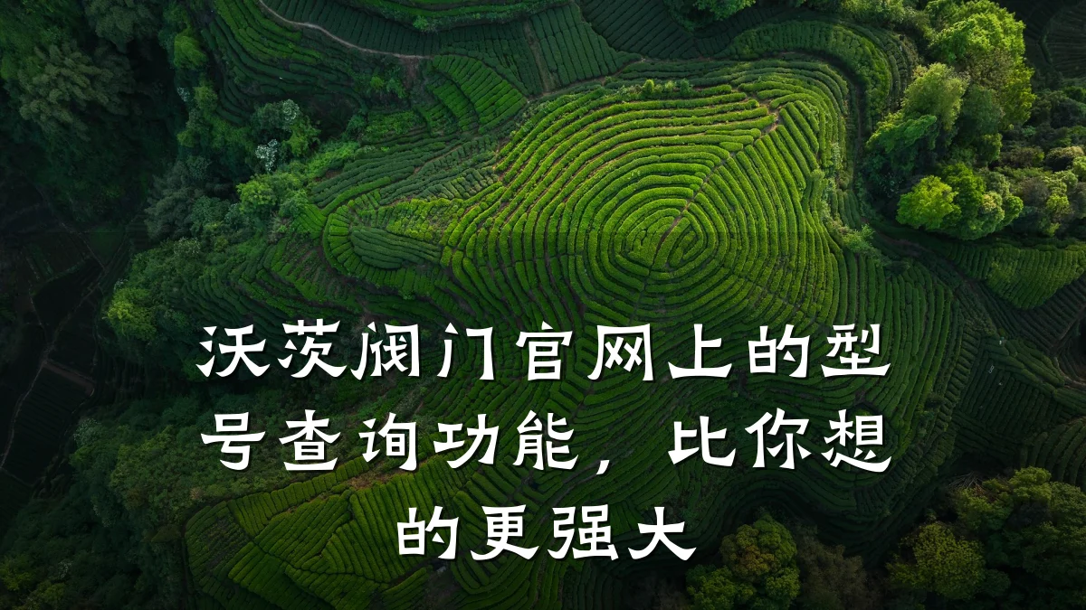 沃茨阀门官网上的型号查询功能,比你想的更强大