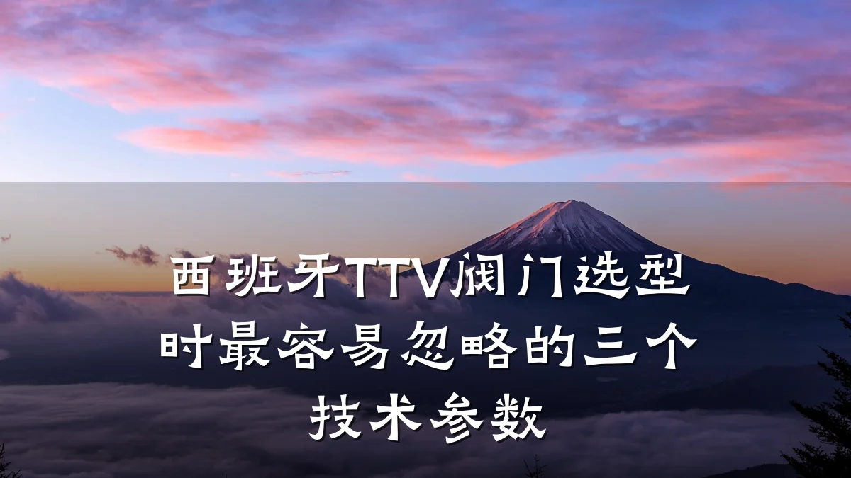 西班牙TTV阀门选型时最容易忽略的三个技术参数