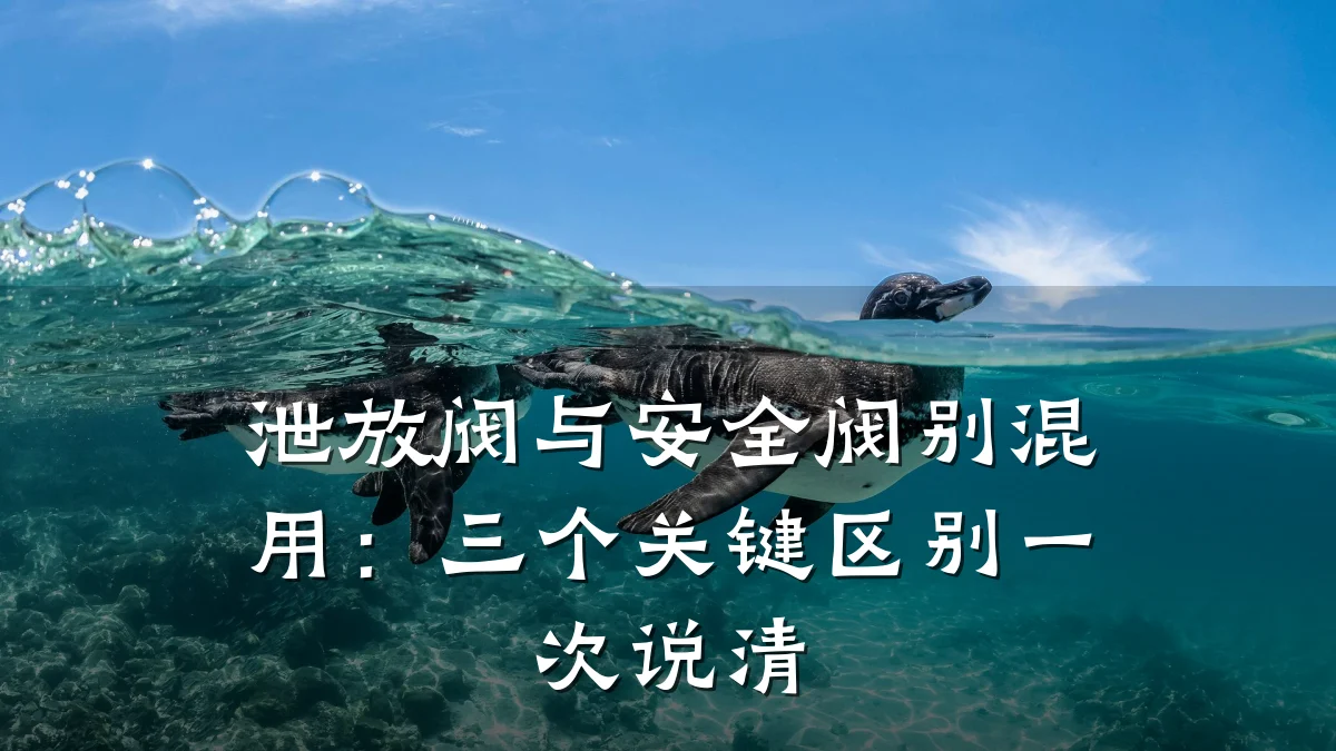 泄放阀与安全阀别混用:三个关键区别一次说清