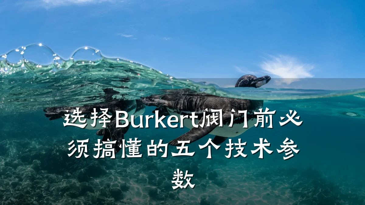 选择Burkert阀门前必须搞懂的五个技术参数