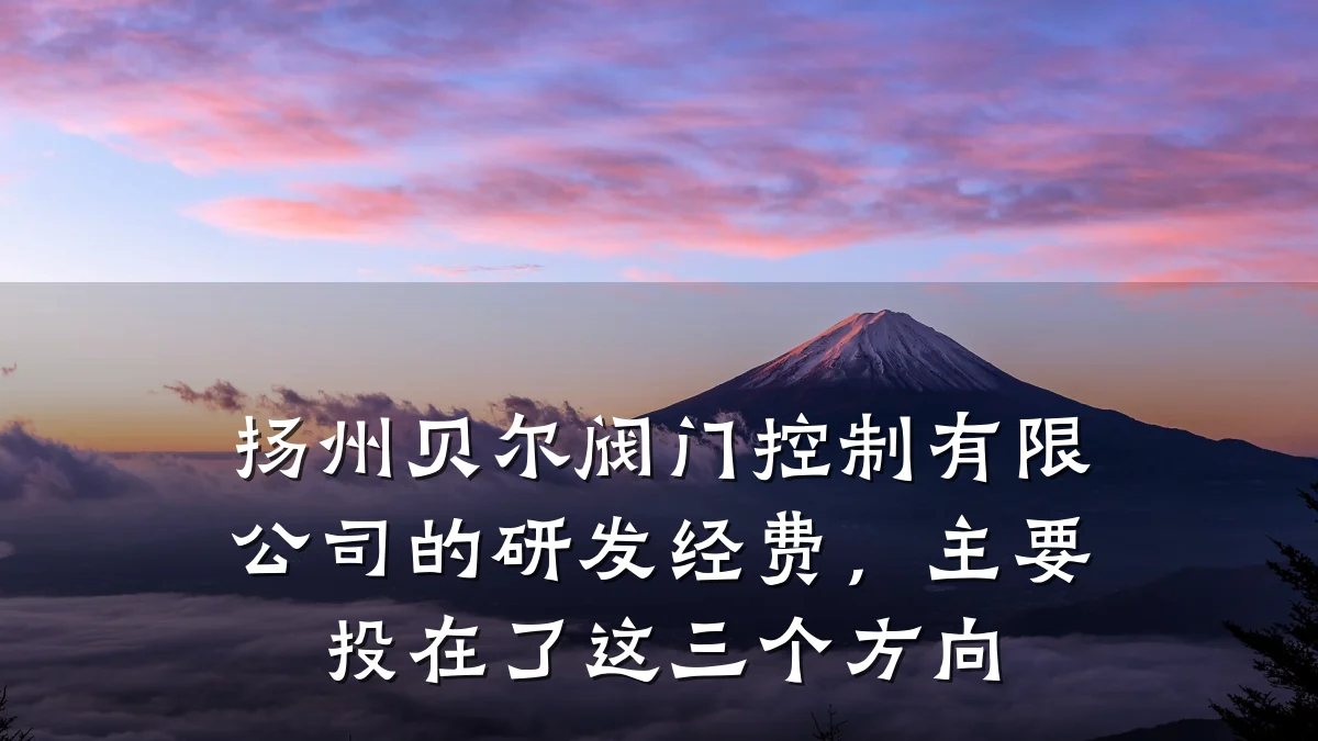 扬州贝尔阀门控制有限公司的研发经费,主要投在了这三个方向