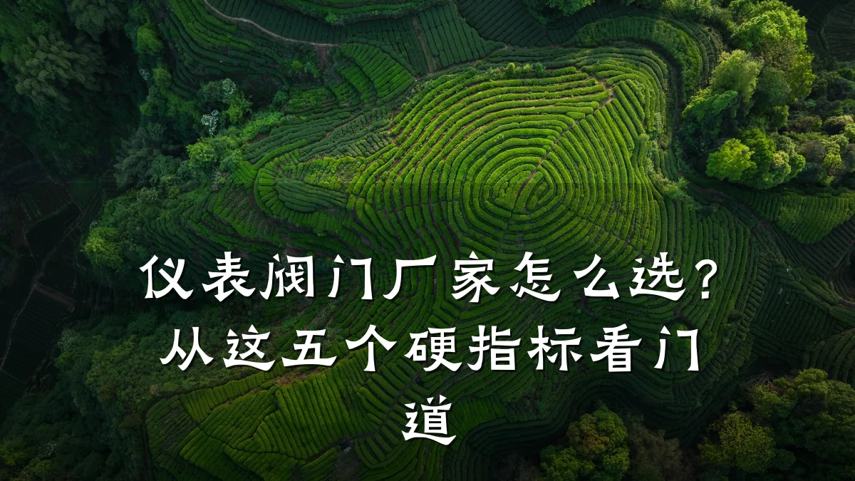仪表阀门厂家怎么选?从这五个硬指标看门道