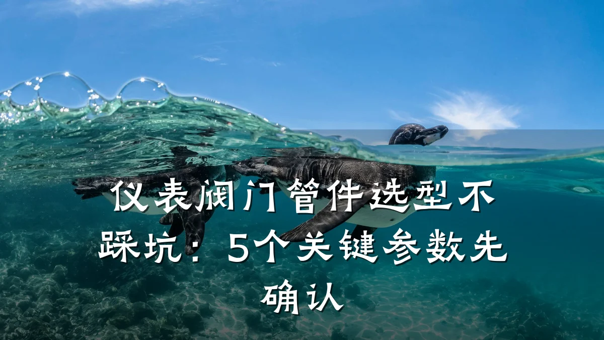 仪表阀门管件选型不踩坑：5个关键参数先确认