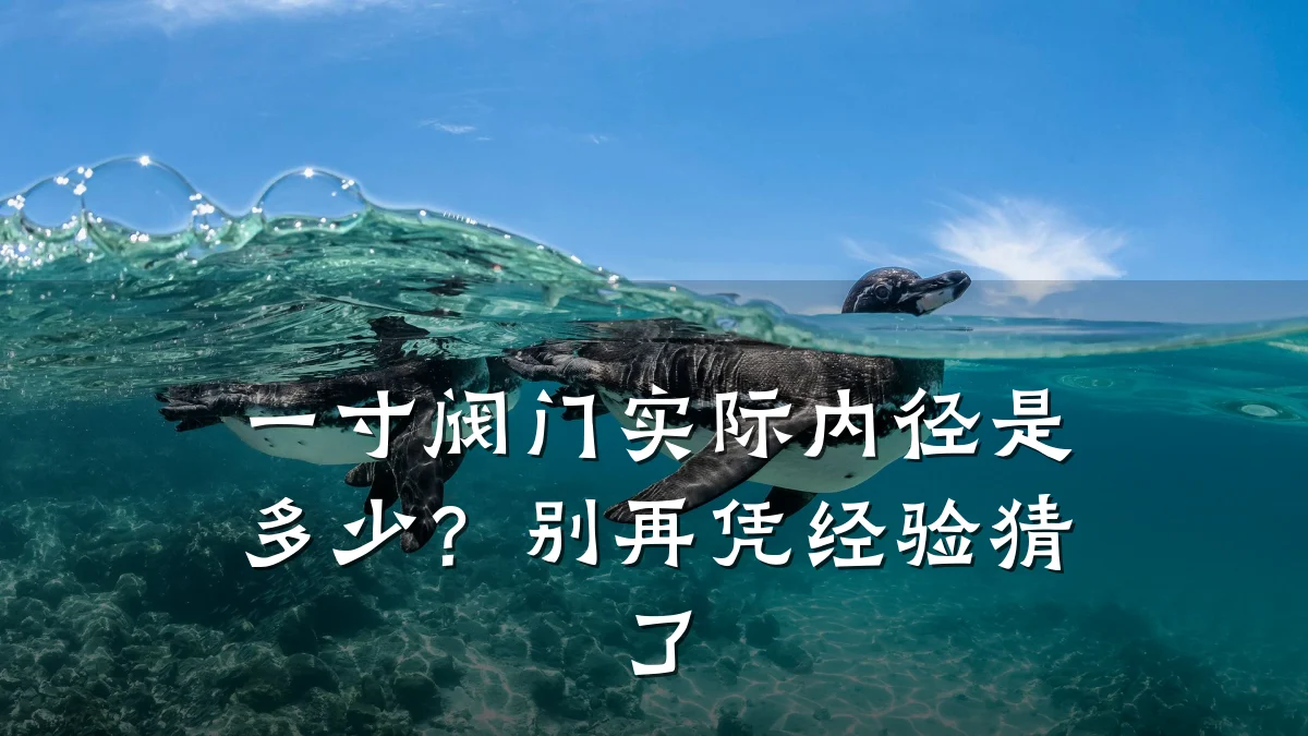 一寸阀门实际内径是多少?别再凭经验猜了