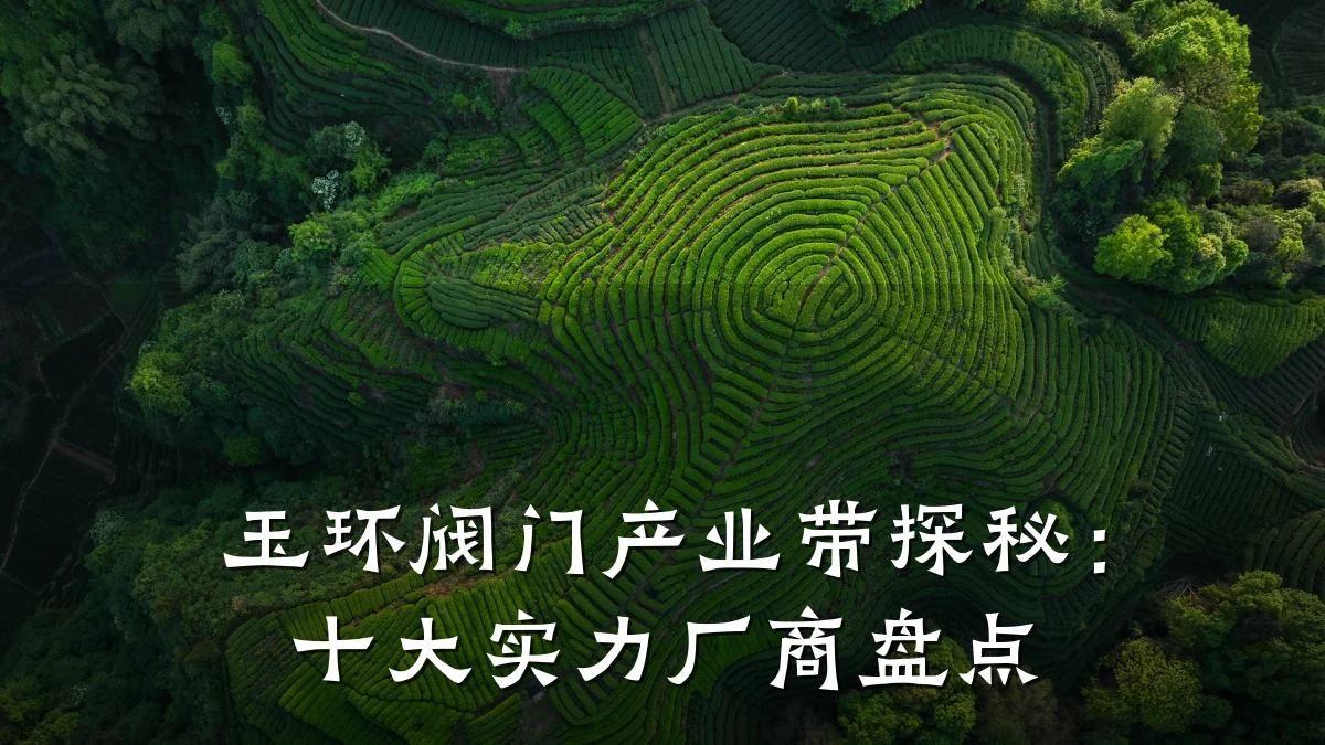 玉环阀门产业带探秘:十大实力厂商盘点