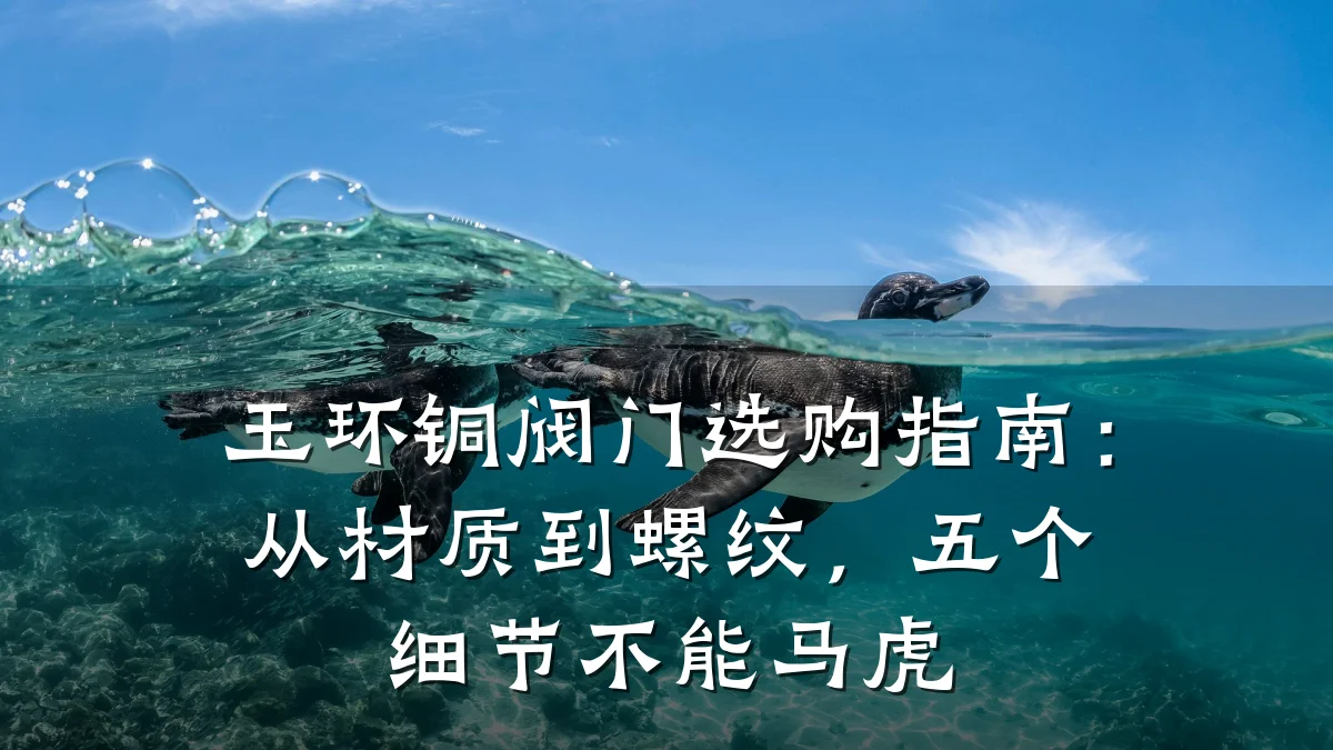 玉环铜阀门选购指南:从材质到螺纹,五个细节不能马虎