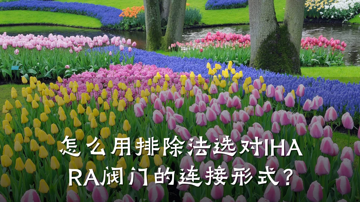 怎么用排除法选对IHARA阀门的连接形式?