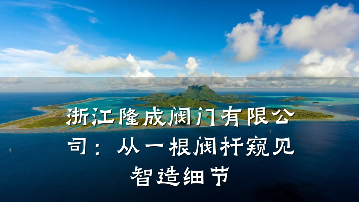 浙江隆成阀门有限公司:从一根阀杆窥见智造细节