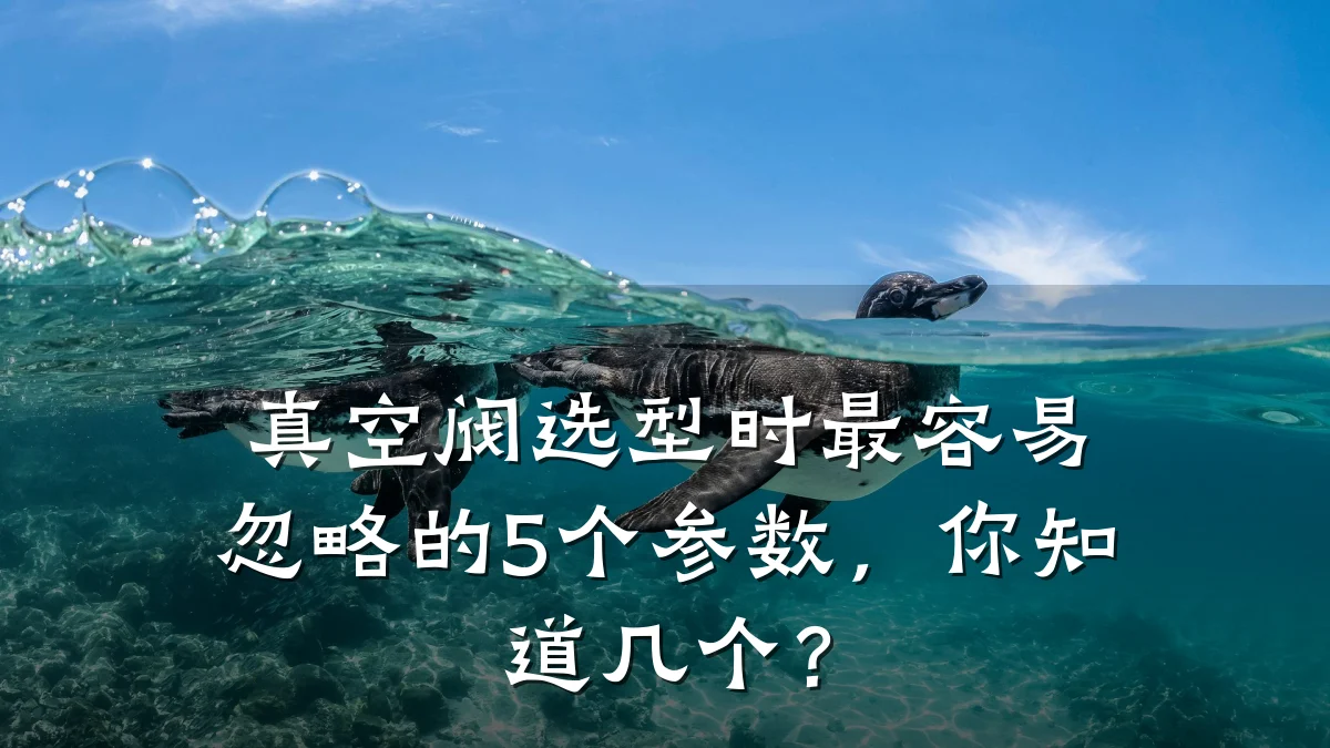 真空阀选型时最容易忽略的5个参数，你知道几个？