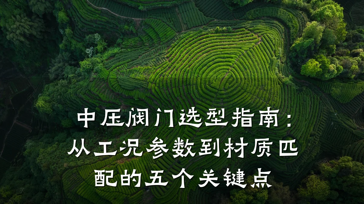 中压阀门选型指南:从工况参数到材质匹配的五个关键点